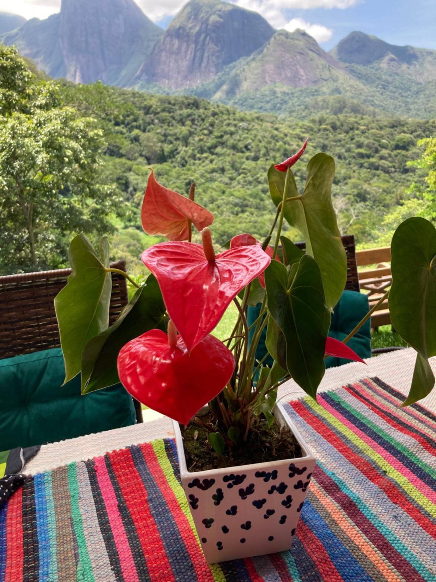 A Cabana Mais Bucolica De Araras Petrópolis Exterior foto